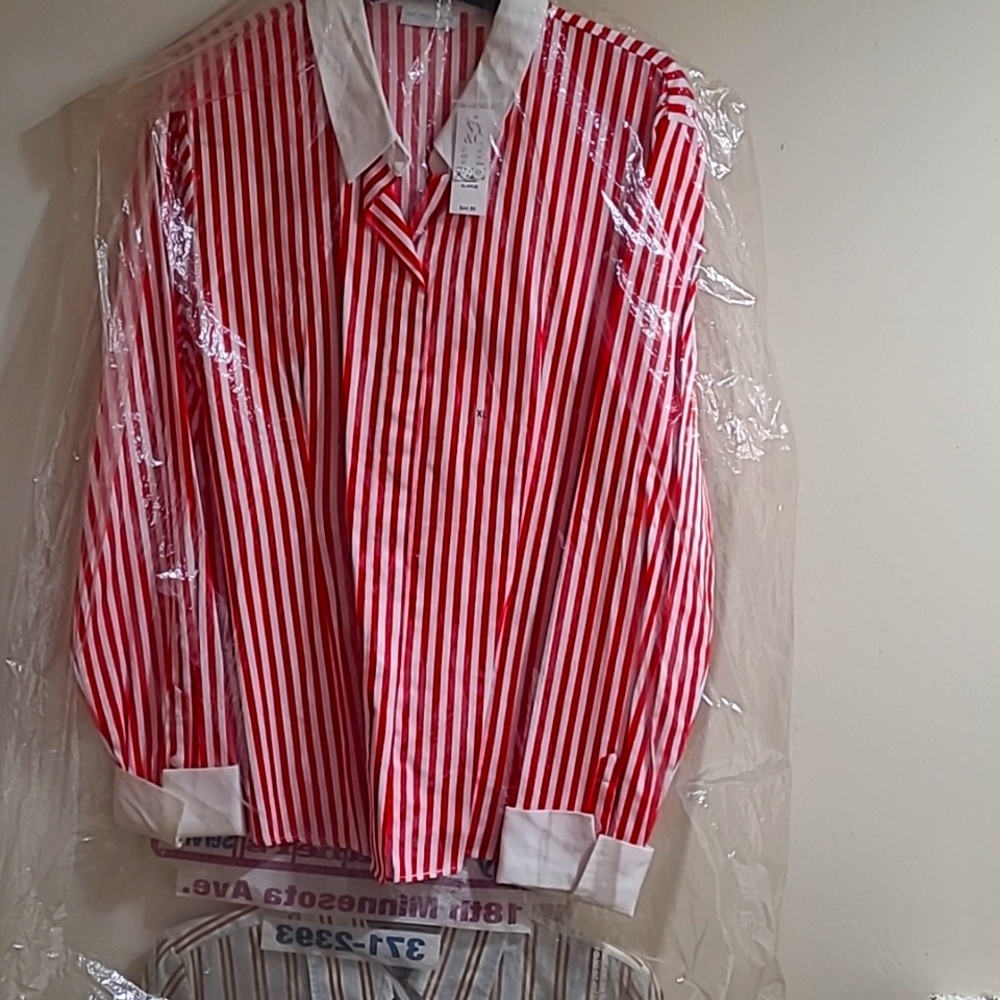 Ladies dress shirt